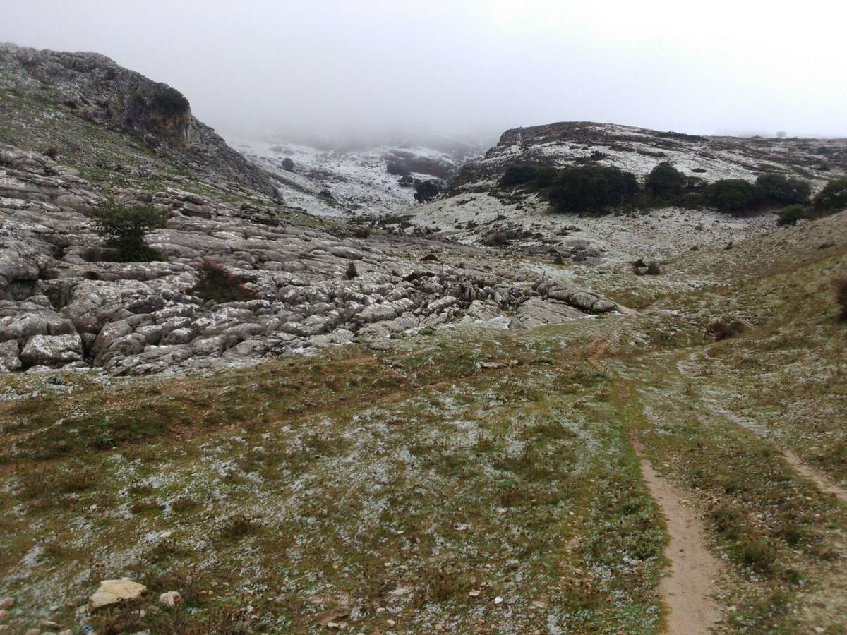 Nieva en distintos puntos de la Serranía de Ronda