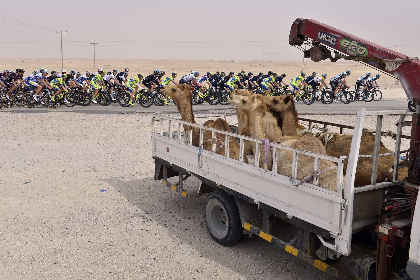 Imágenes del Tour de Qatar