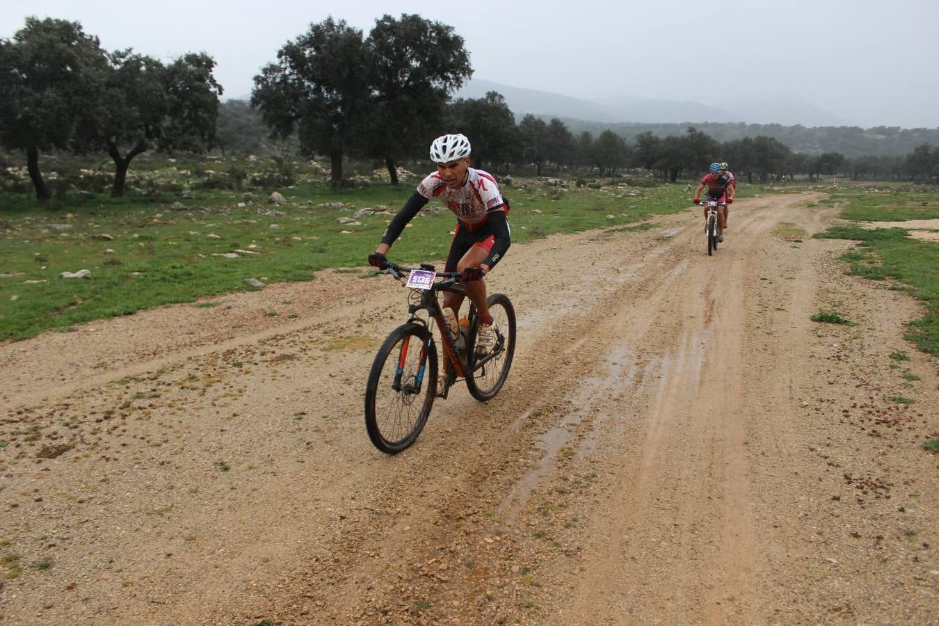 El Homenaje a los 101 kilómetros de la Legión en Ronda, en imágenes