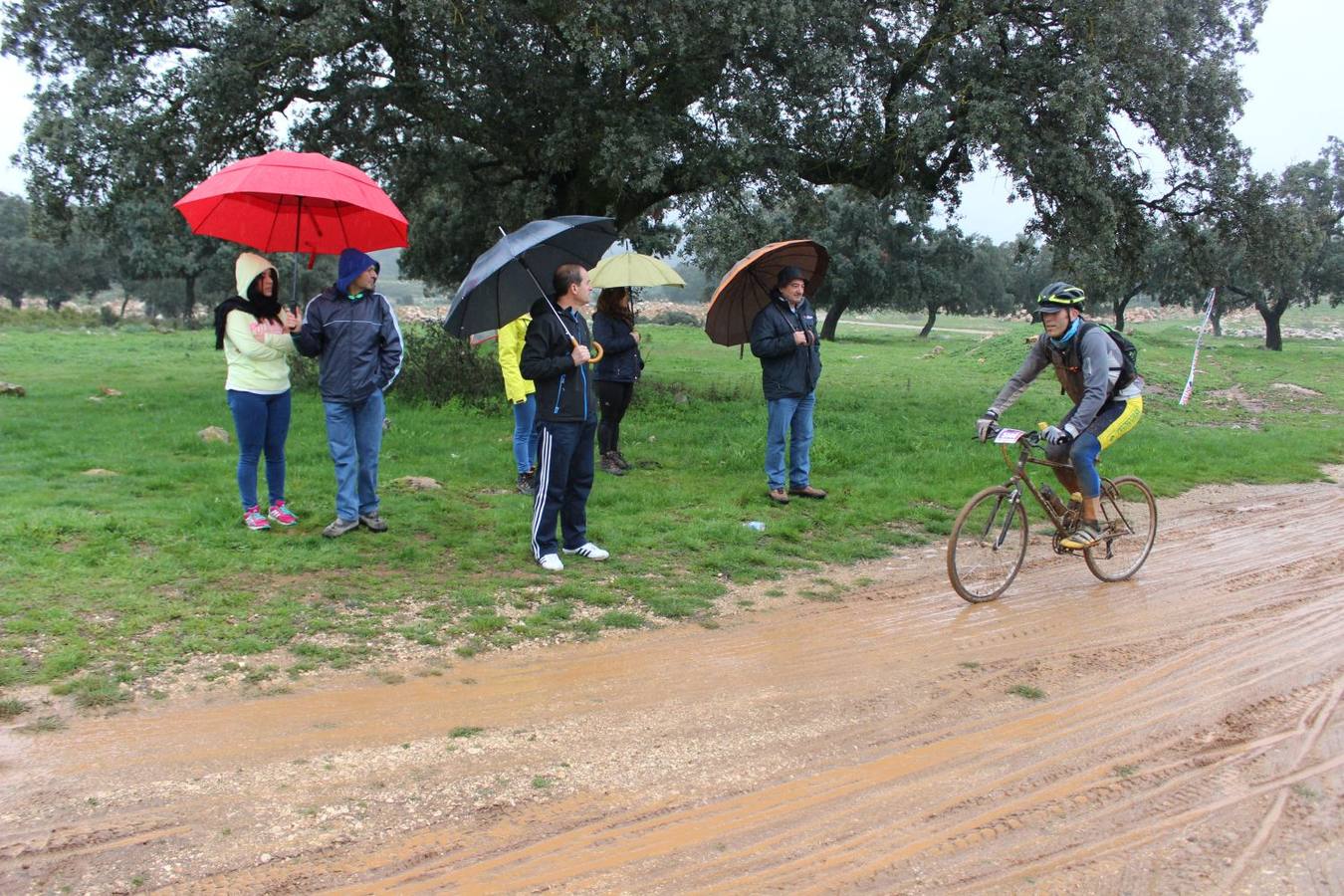 El Homenaje a los 101 kilómetros de la Legión en Ronda, en imágenes