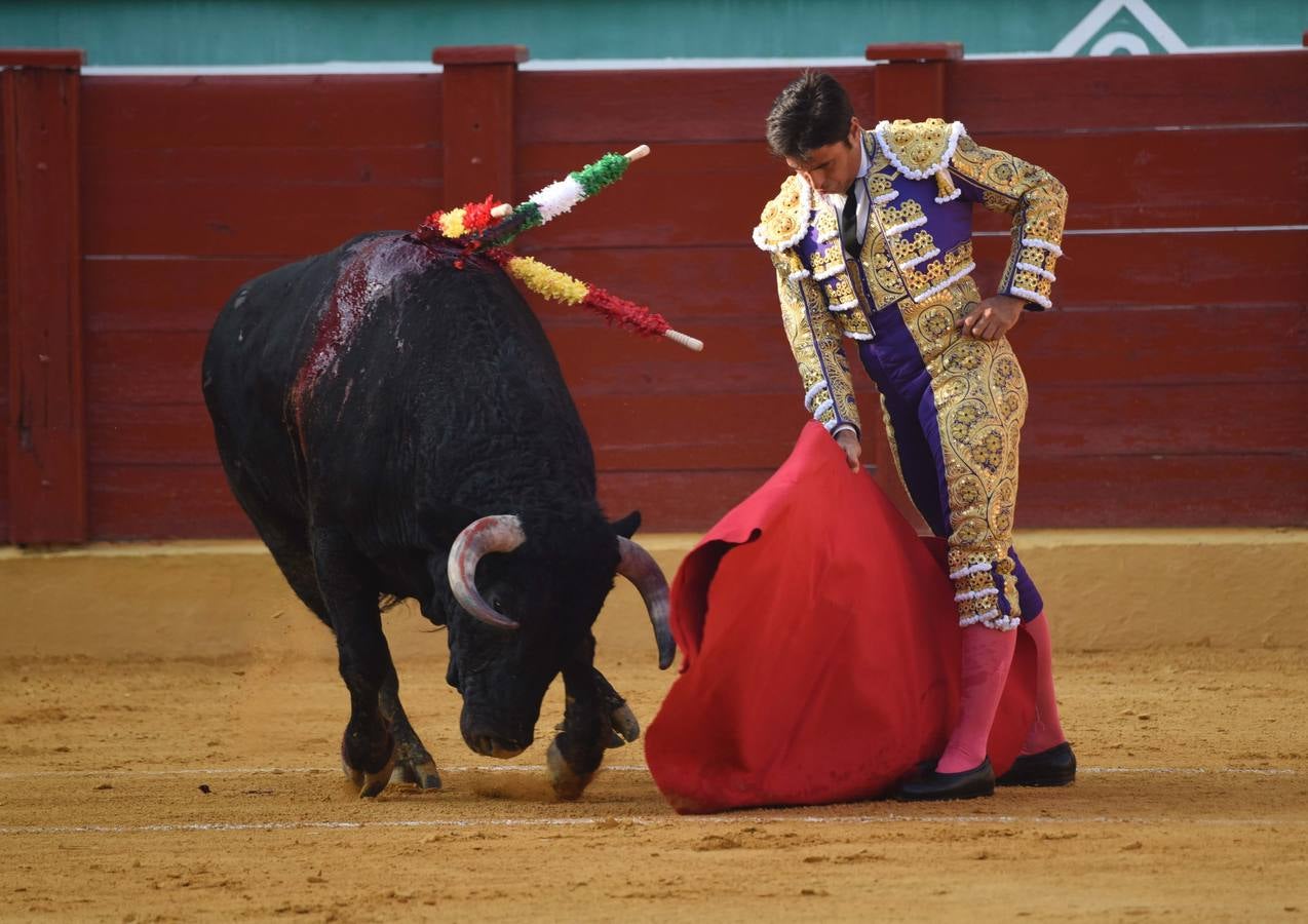 Triunfal regreso de los toros a Estepona
