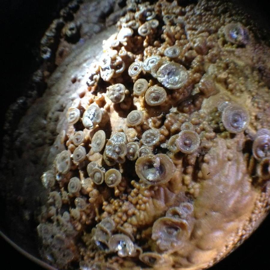 Tesoros de piedra y agua en Igualeja