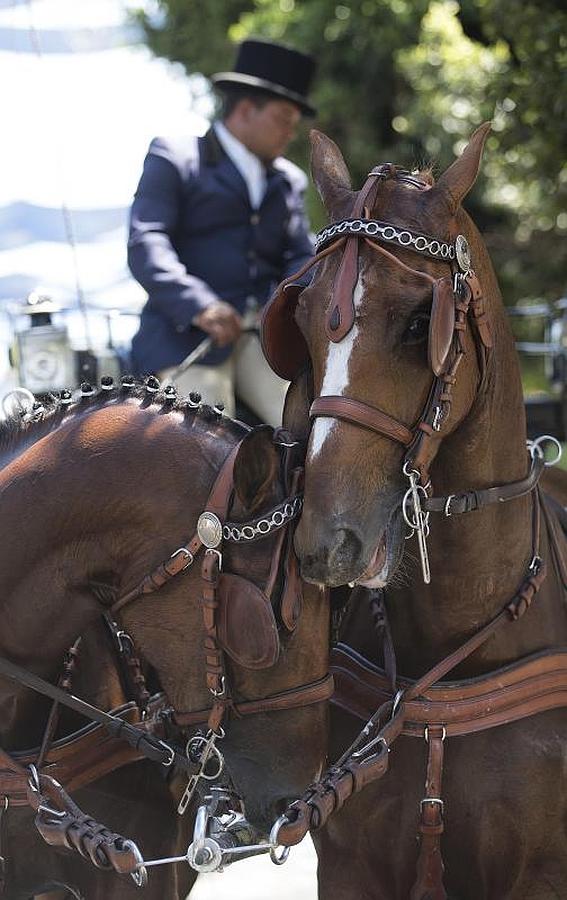 Ambiente del Real durante el día del jueves, en imágenes