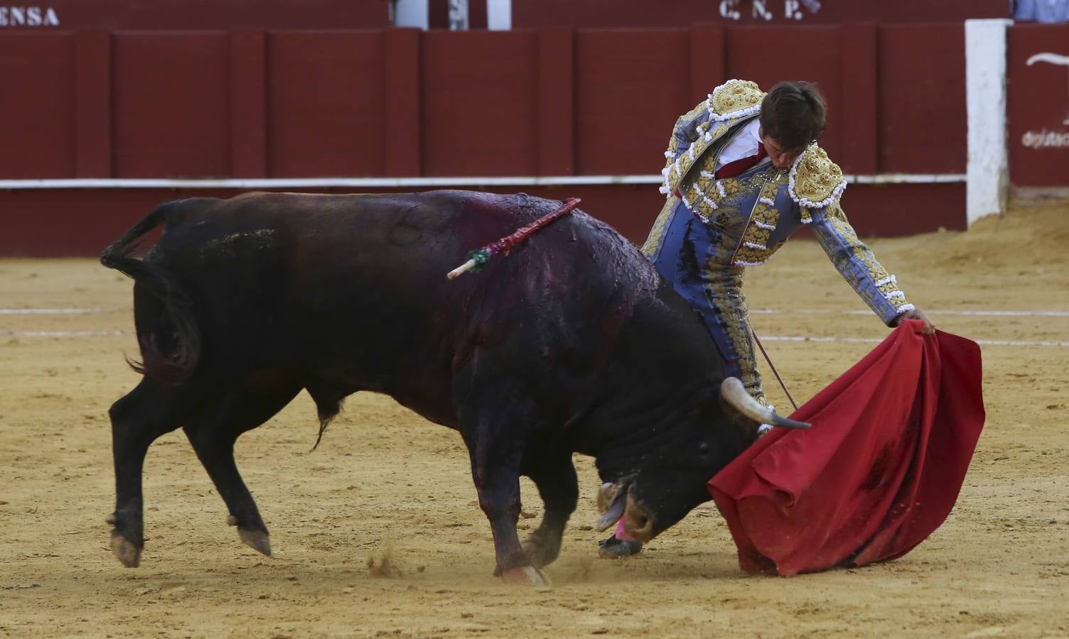 Premio al valor y la firmeza de un Perera pletórico