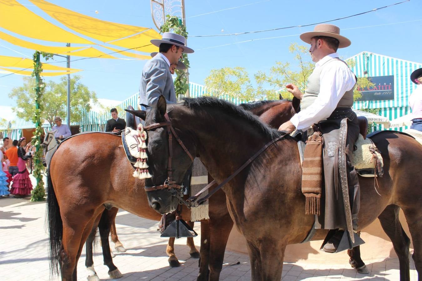 El caballo, protagonista de la Feria en Ronda