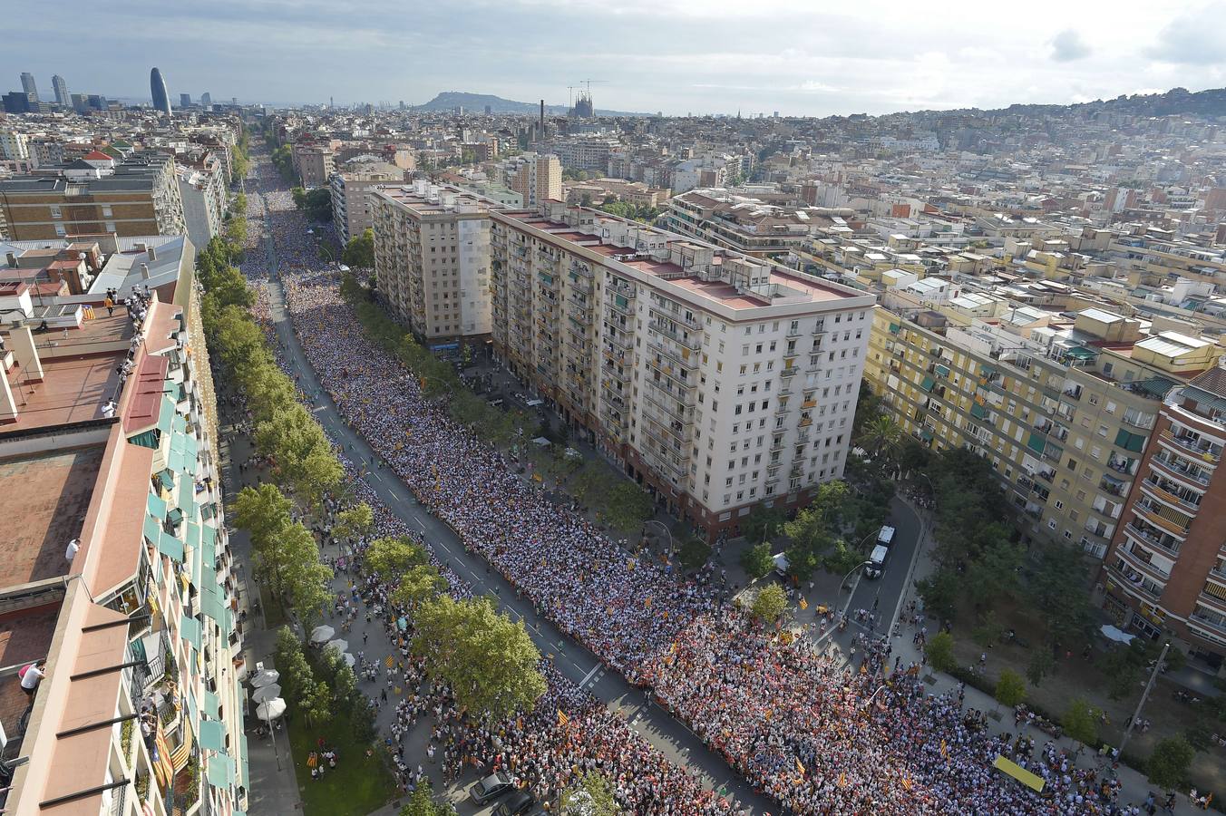 Vista general de la Diada. Miles de asistentes se han congregado en la calles de Barcelona con motivo de la Diada.