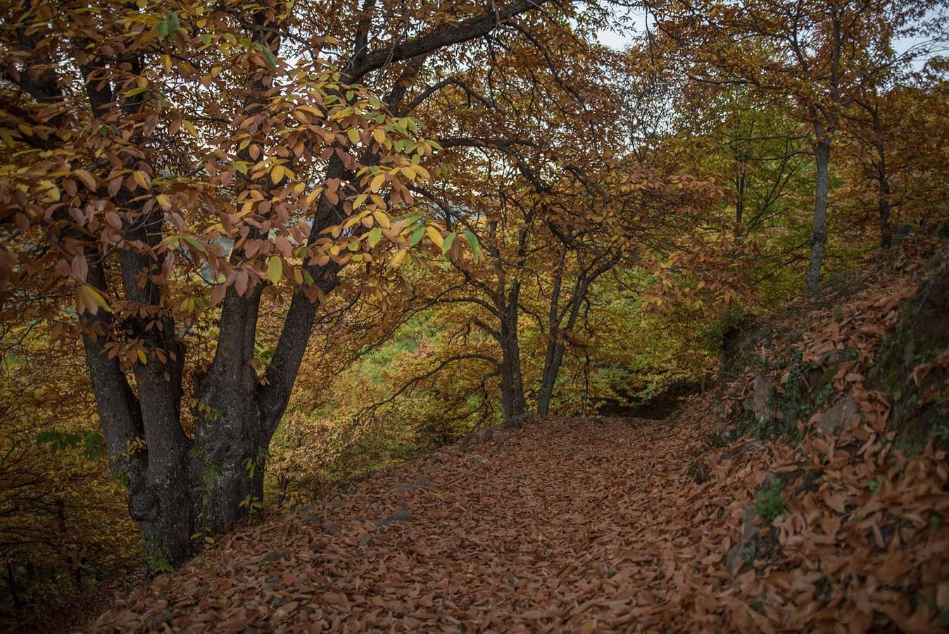 Parece un paisaje sacado de un cuento.