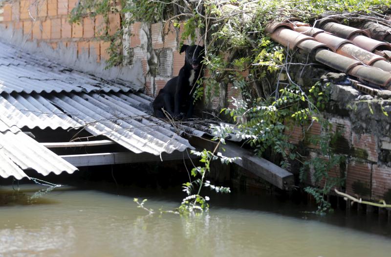 Asunción, bajo las aguas