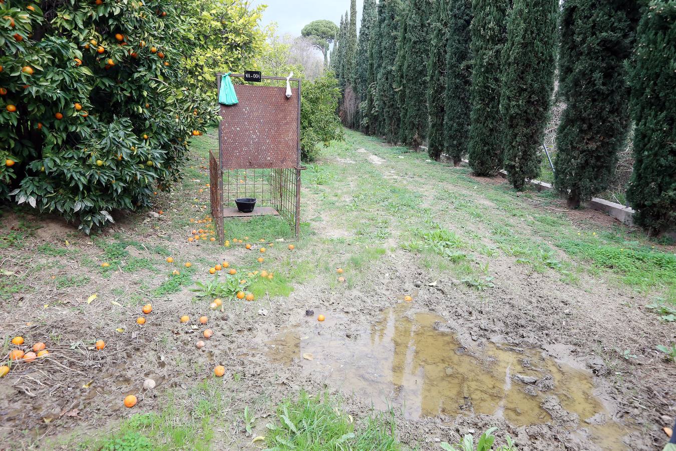 Imágenes del estado que presenta La Concepción