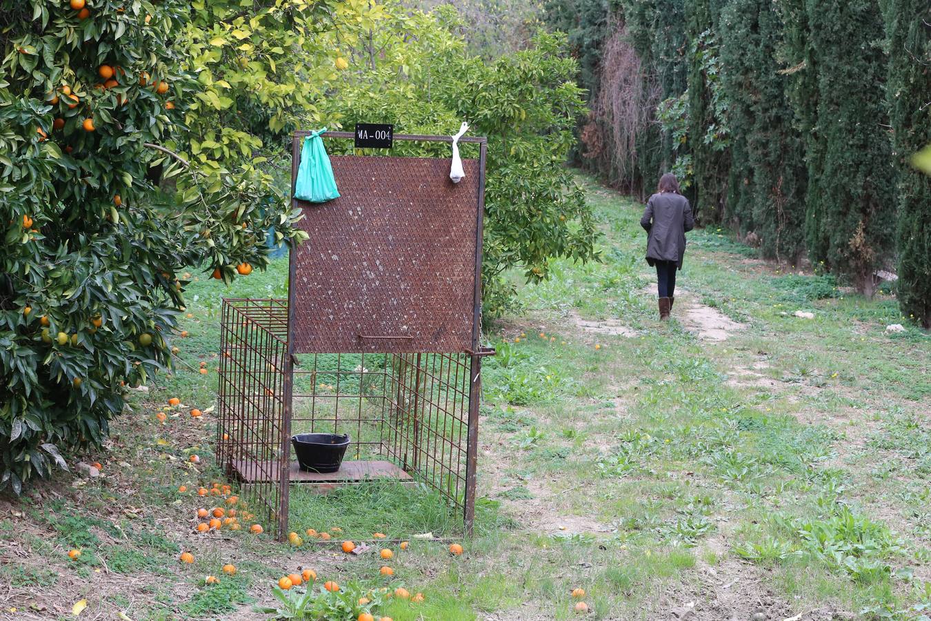 Imágenes del estado que presenta La Concepción