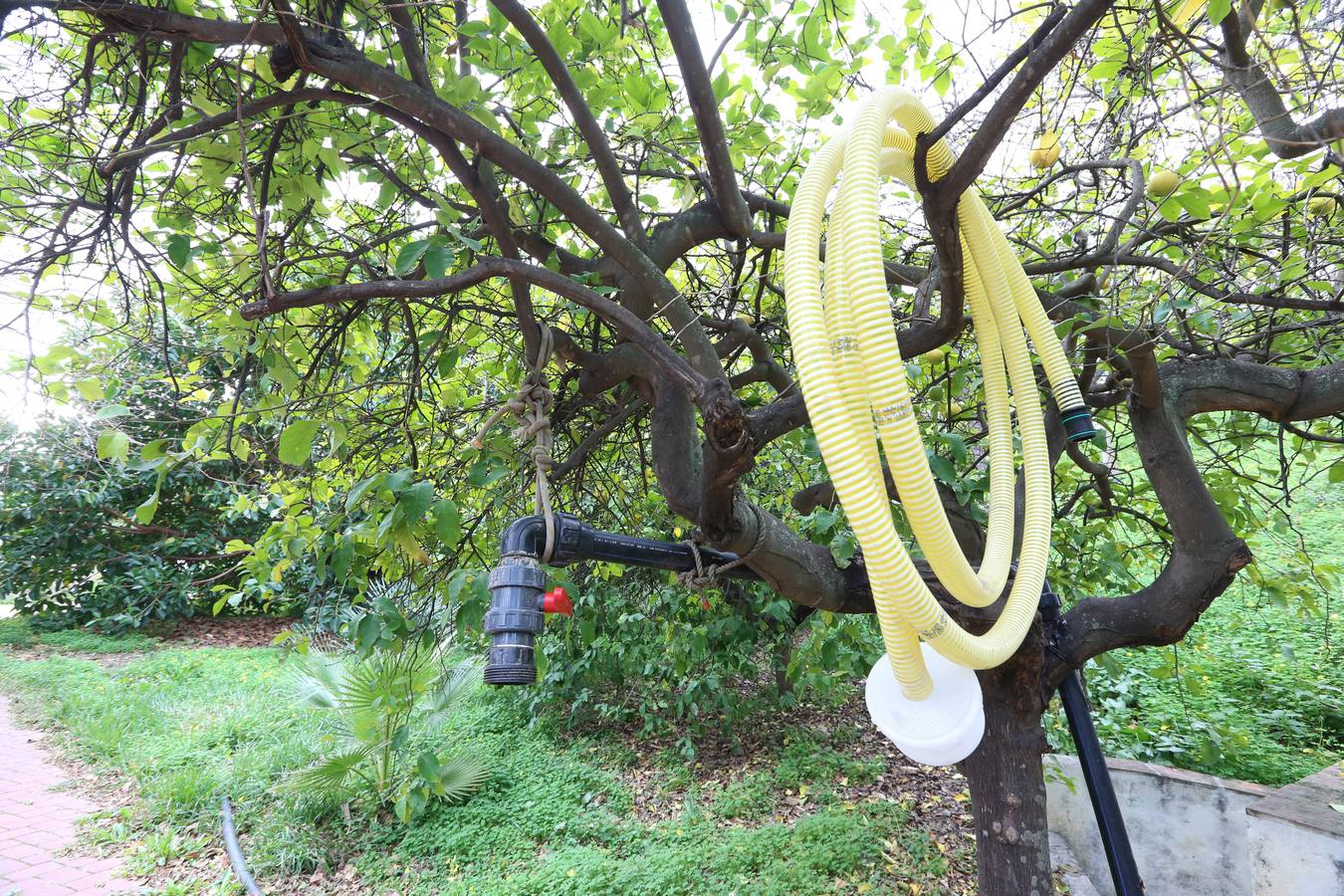 Imágenes del estado que presenta La Concepción