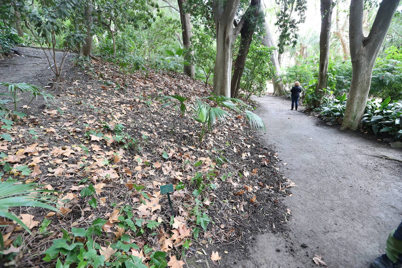 Imágenes del estado que presenta La Concepción