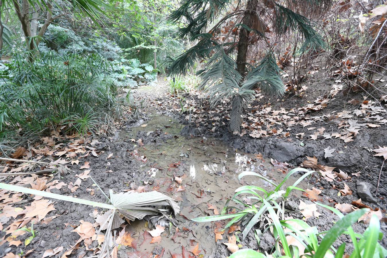 Imágenes del estado que presenta La Concepción