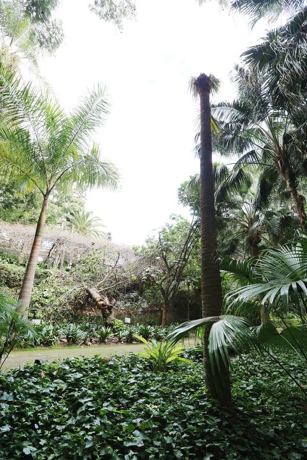 Imágenes del estado que presenta La Concepción