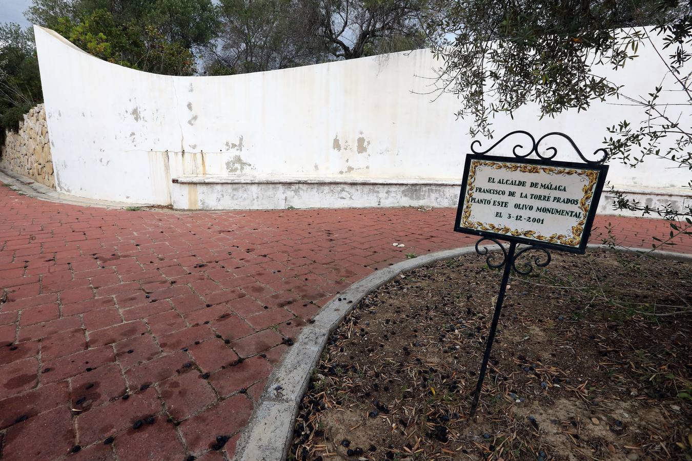 Imágenes del estado que presenta La Concepción