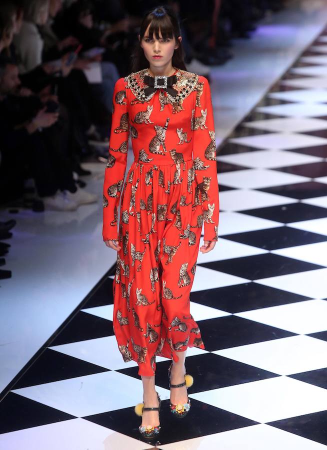 Dolce &amp;amp; Gabbana muestra sus últimas creaciones en Milán