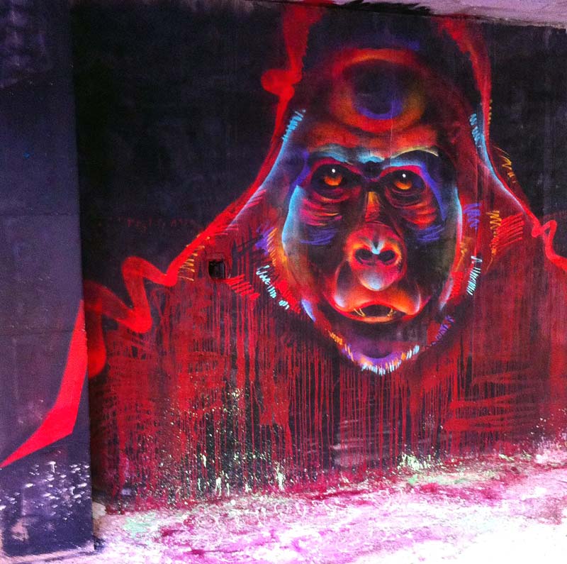 El grafiti salvaje de Ddarko