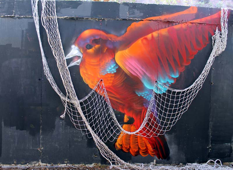 El grafiti salvaje de Ddarko