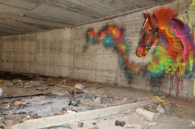 El grafiti salvaje de Ddarko