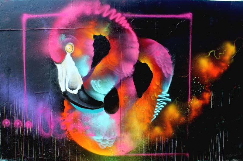 El grafiti salvaje de Ddarko
