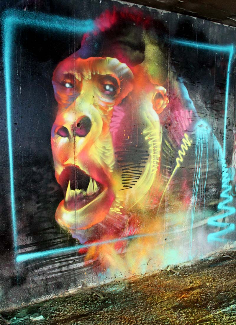 El grafiti salvaje de Ddarko