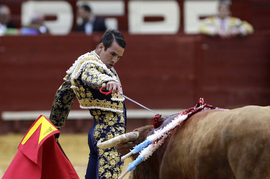 La reaparición de José Tomás en Jerez, en fotos