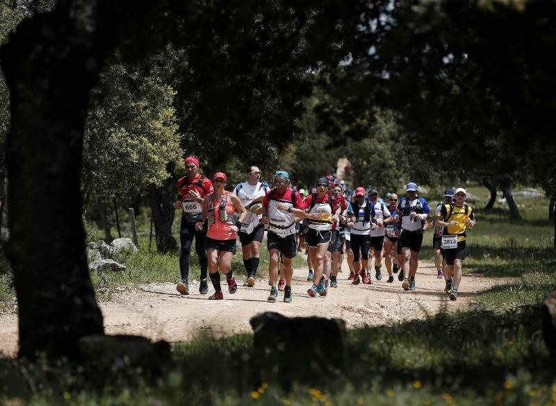 Corredores en los 101 kilómetros de Ronda