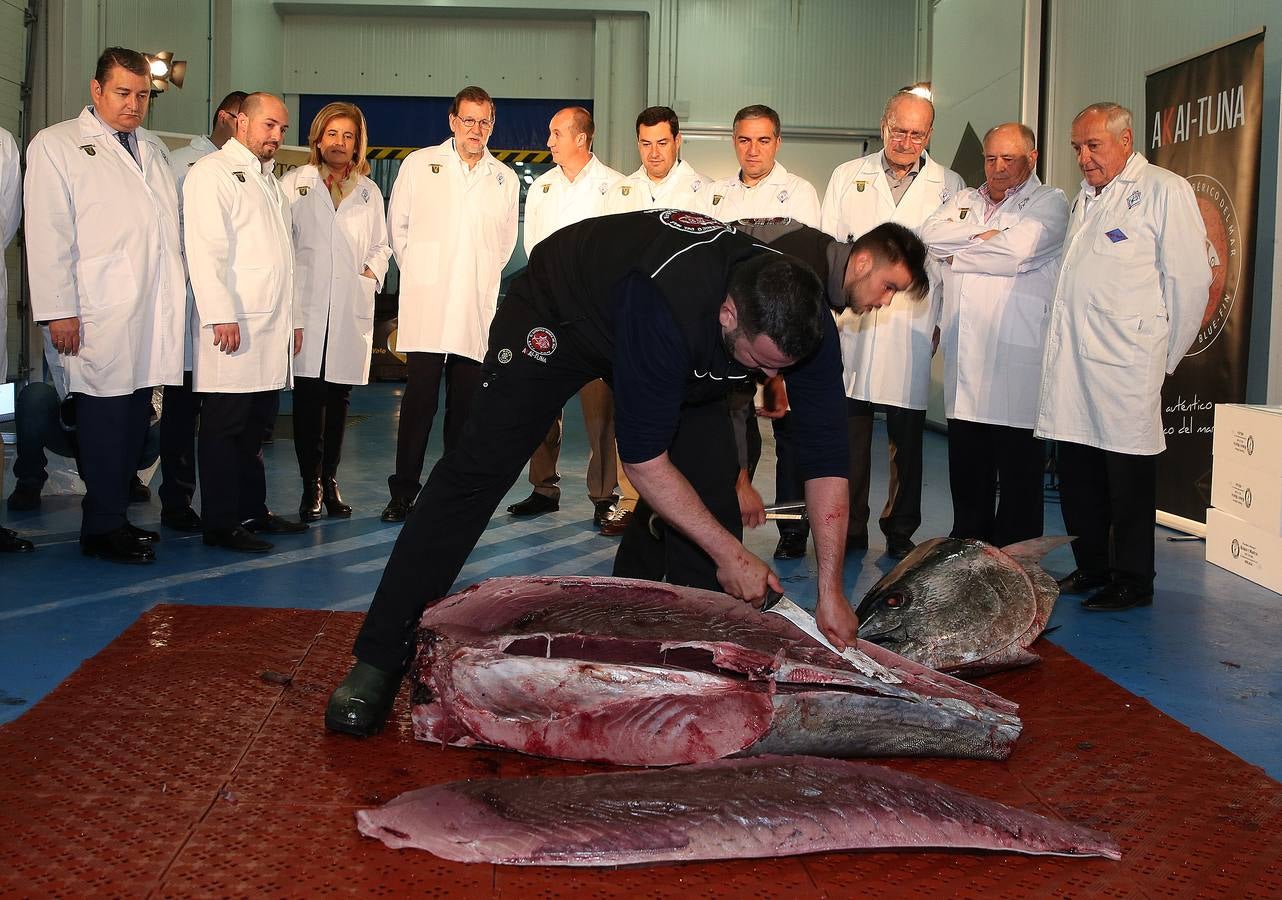 Fotos de la visita de Mariano Rajoy a la empresa malagueña Román y Martos