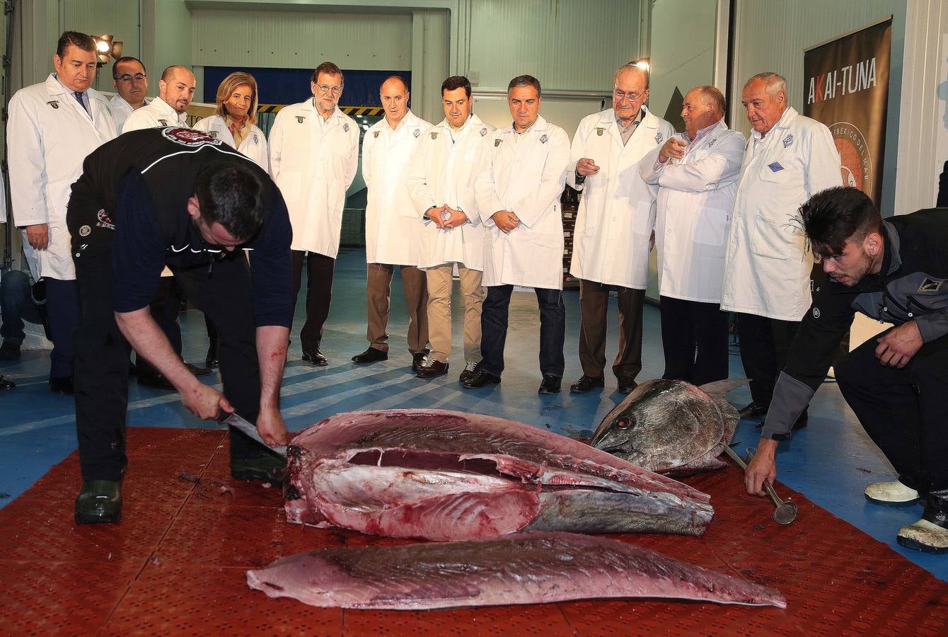 Fotos de la visita de Mariano Rajoy a la empresa malagueña Román y Martos