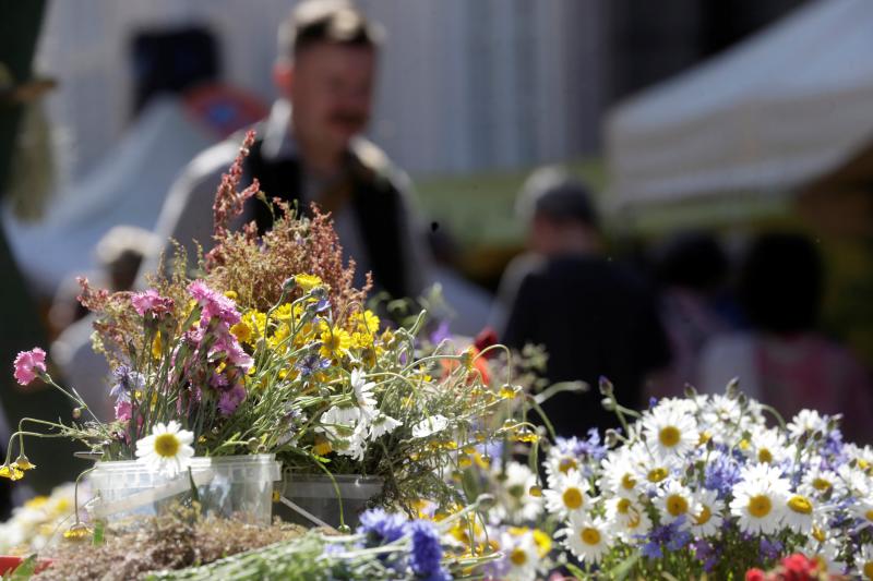 Riga se llena de flores y hierbas salvajes