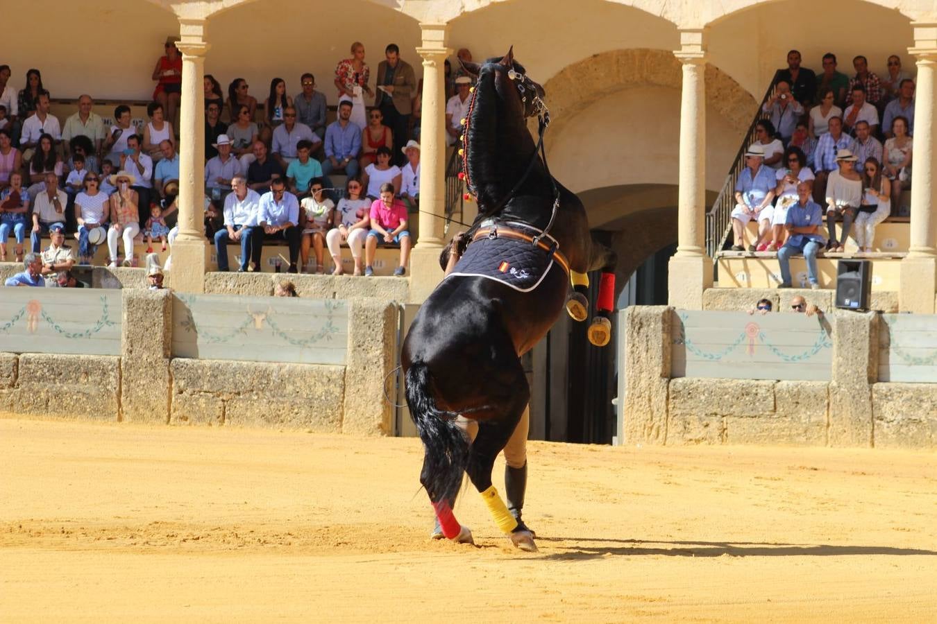 Los mejores carruajes se dan cita en Ronda