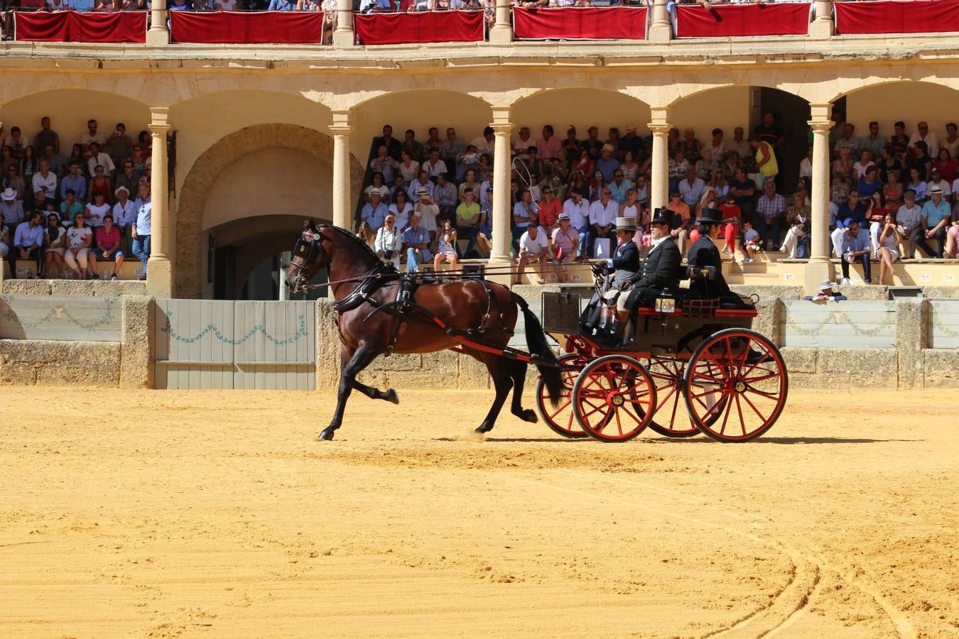 Los mejores carruajes se dan cita en Ronda