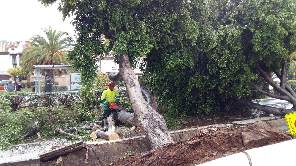 En imágenes, las consecuencias de las fuertes lluvias en Málaga
