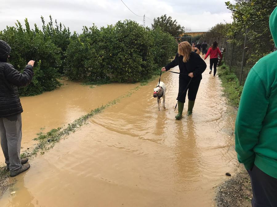 La tromba de agua en Málaga se ceba con Cártama