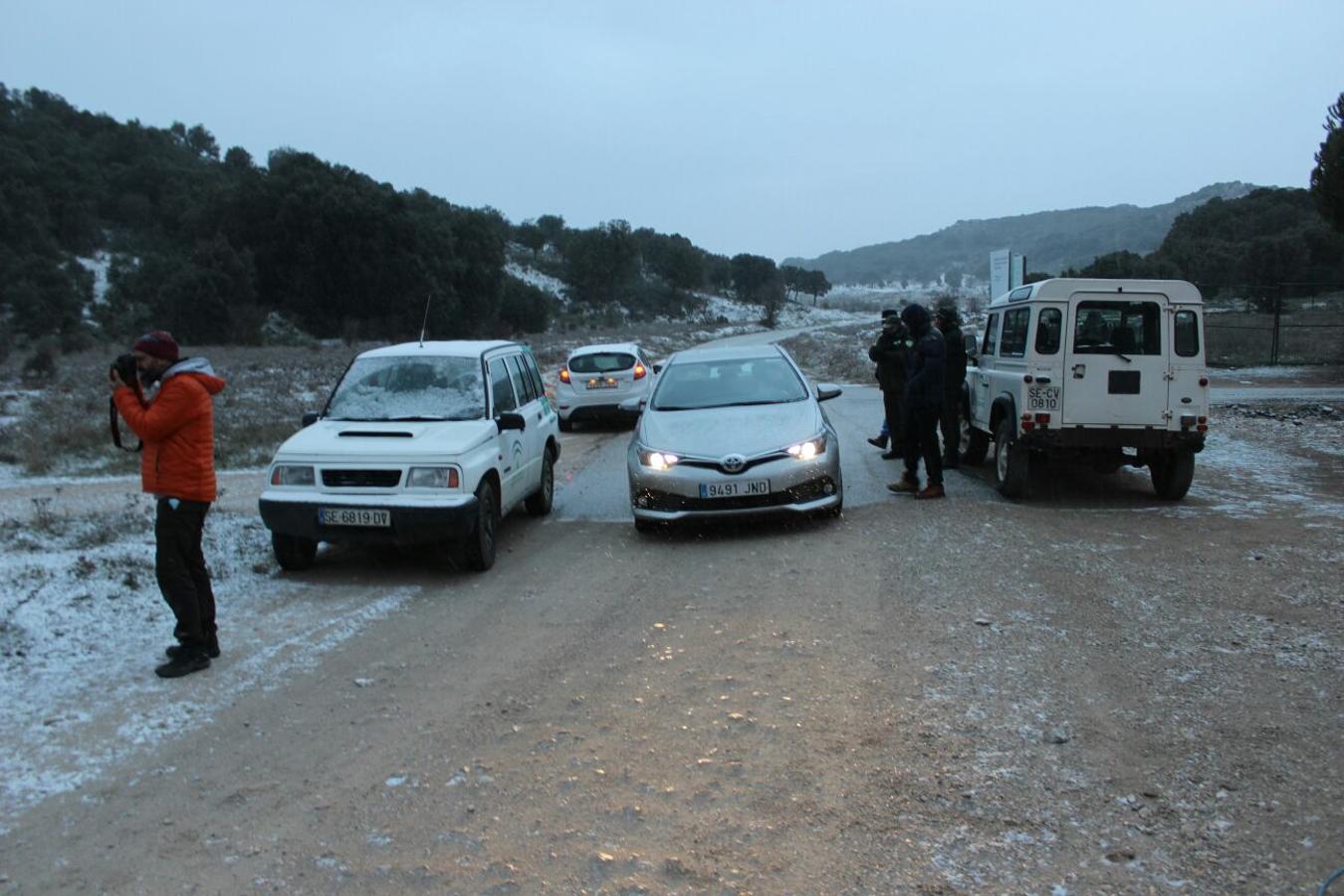 Sierra de las Nieves. Sierra de las Nieves.