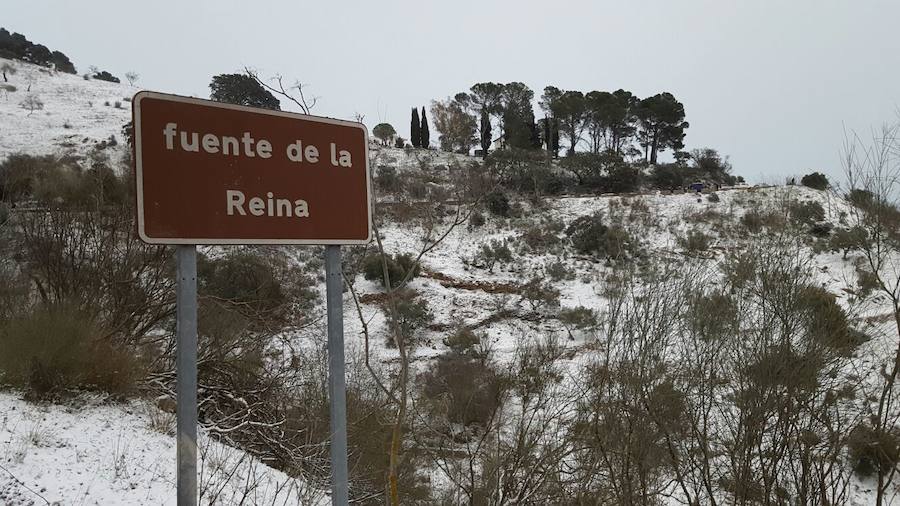 Fuente de la Reina. 