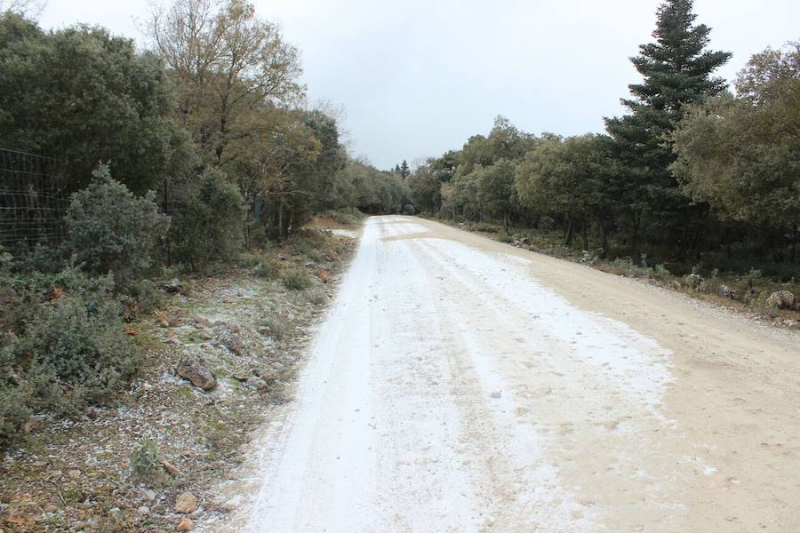 Sierra de las Nieves. 