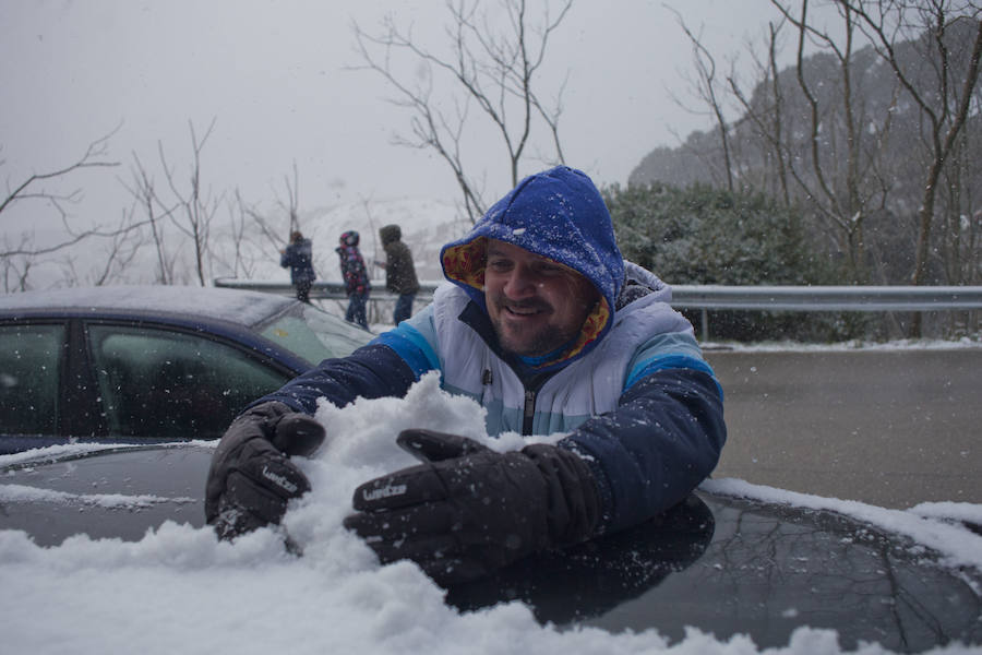 La nieve llega a los Montes de Málaga