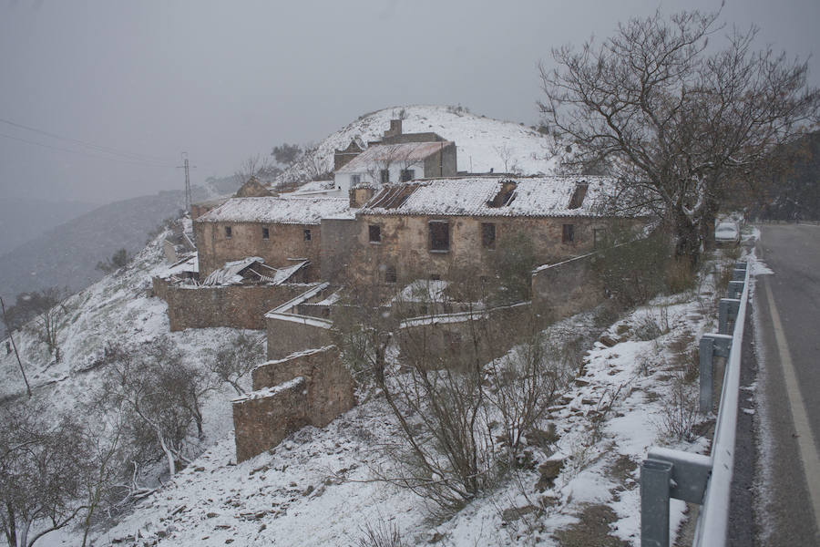 La nieve llega a los Montes de Málaga