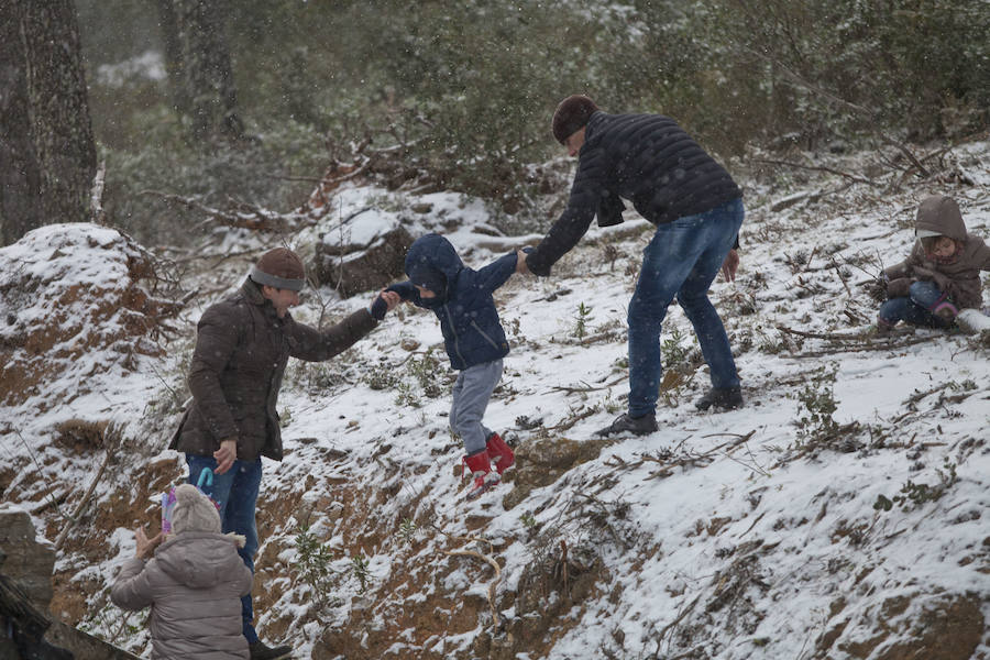 La nieve llega a los Montes de Málaga