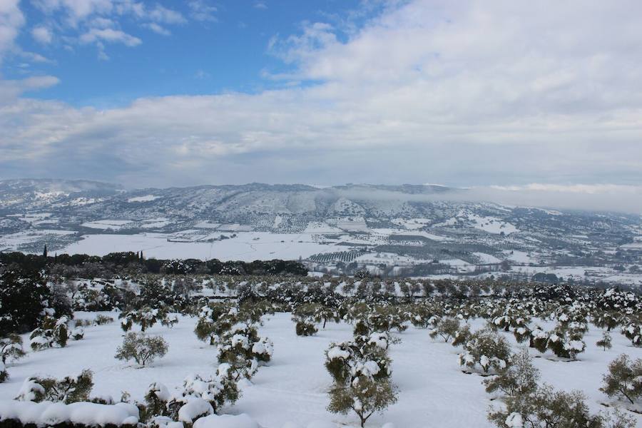 Histórica nevada en Ronda