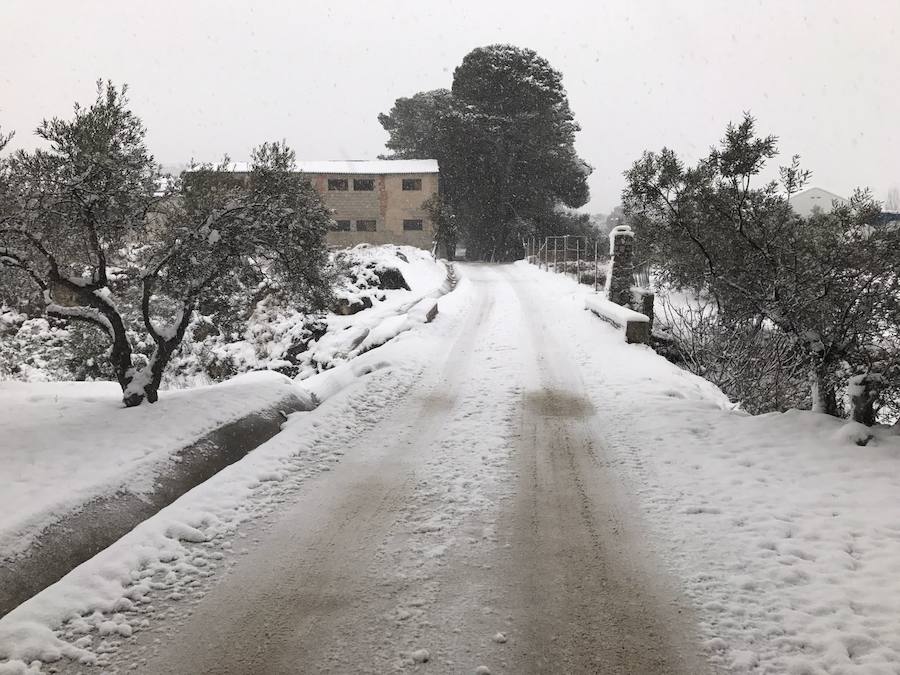 Un manto blanco cubre Yunquera