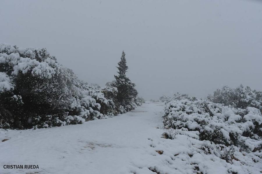 La nieve cubre otros puntos de la provincia, principalmente del interior