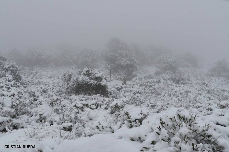 La nieve cubre otros puntos de la provincia, principalmente del interior