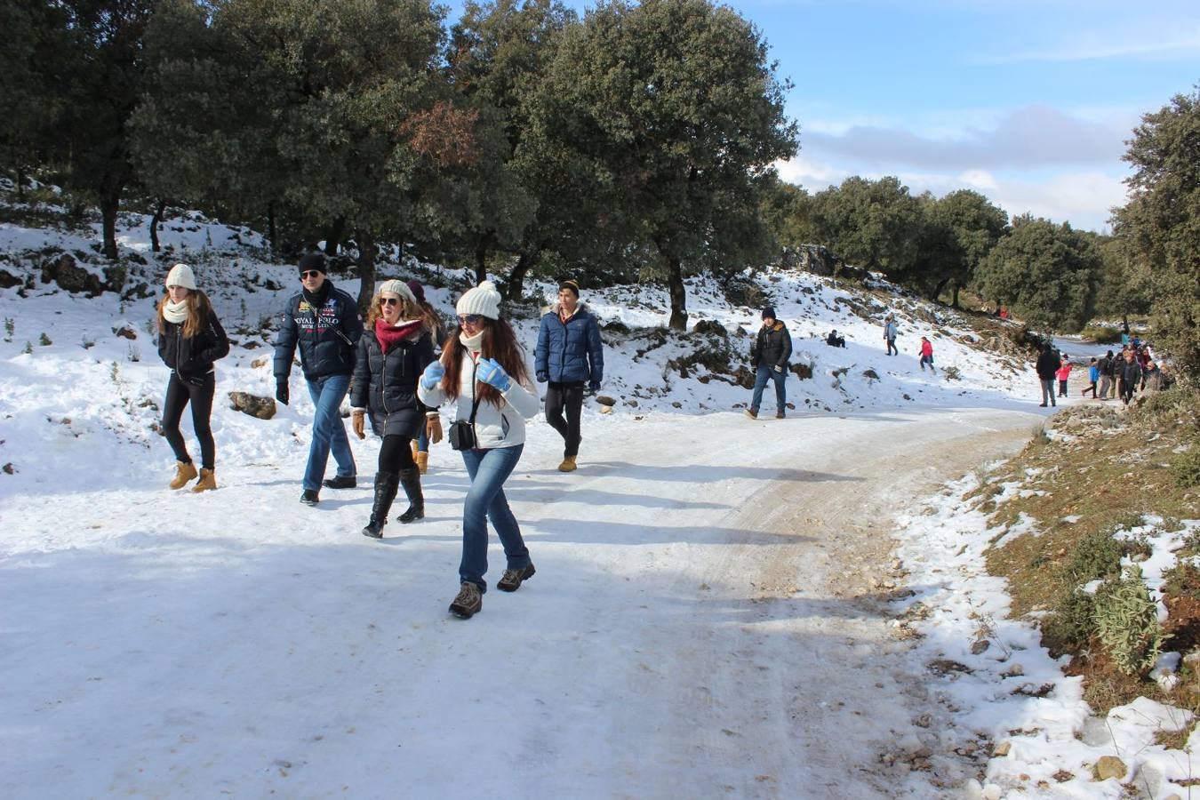 Las mejores imágenes de la nieve este sábado en Ronda