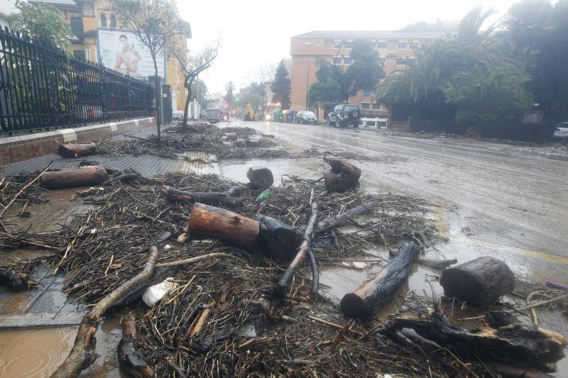 Los efectos de la tromba de lluvia y granizo, en fotos de Fernando González