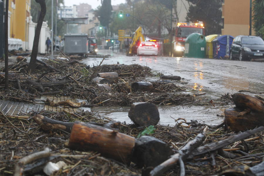 Los efectos de la tromba de lluvia y granizo, en fotos de Fernando González