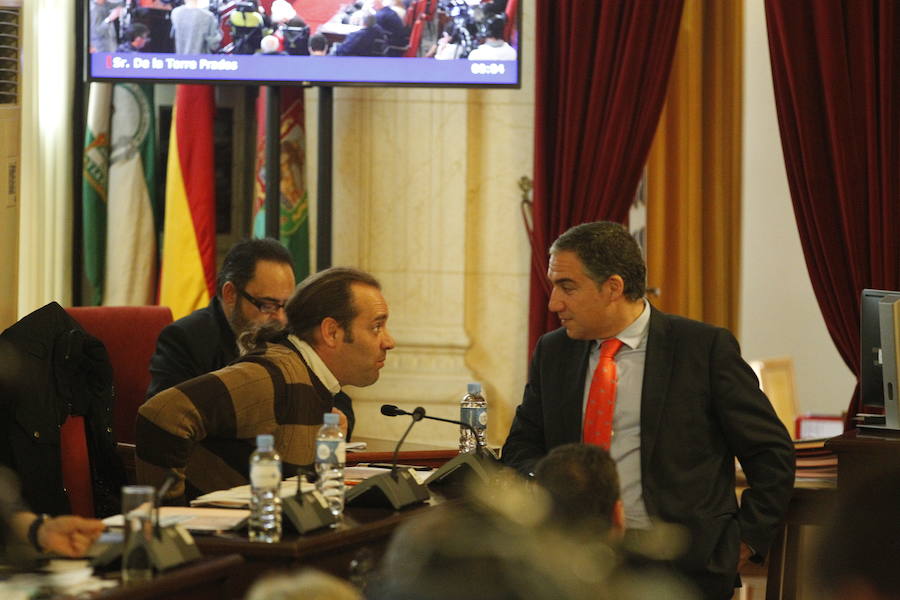 El pleno del Ayuntamiento de Málaga, en imágenes