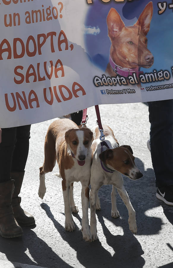 La manifestación de la Protectora de animales de Málaga, en imágenes