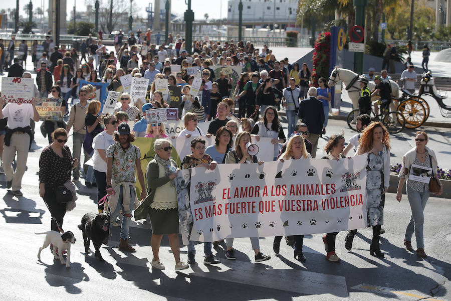 La manifestación de la Protectora de animales de Málaga, en imágenes